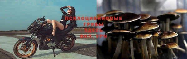 MESCALINE Пересвет