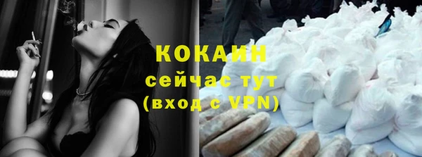 сатива Пестово