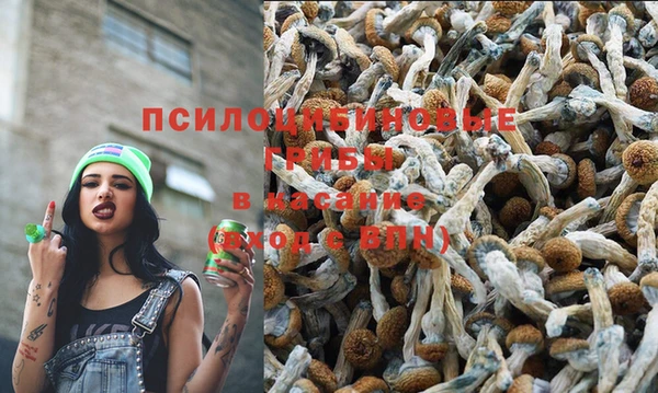 MESCALINE Переславль-Залесский