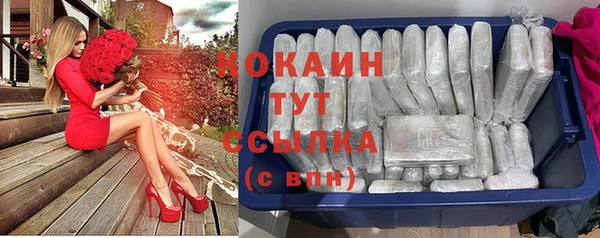 сатива Пестово
