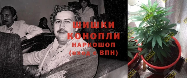 сатива Пестово
