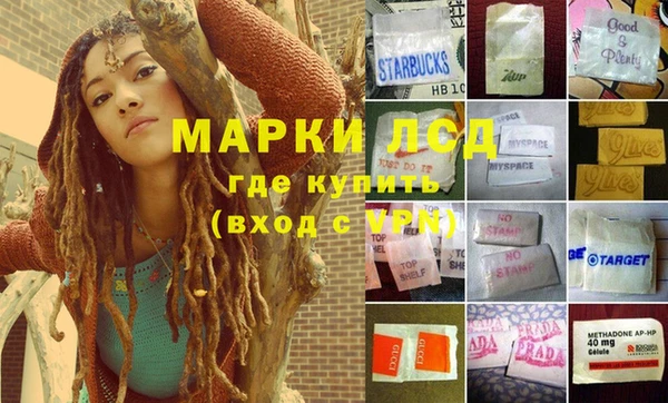 сатива Пестово