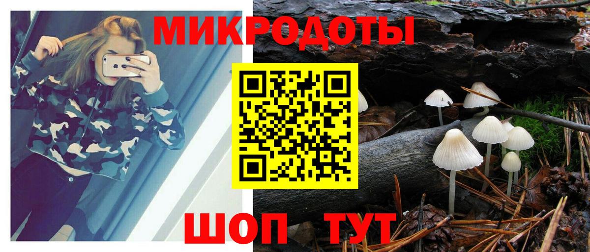 Галлюциногенные грибы GOLDEN TEACHER Таганрог